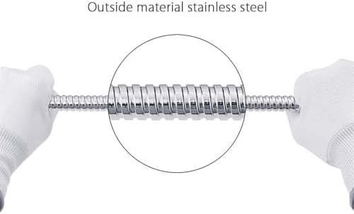 dDanke Brass Handheld Shower Head with Classic Silver Design