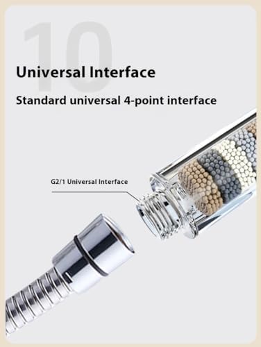 Filtered Dual Head Massage Shower
