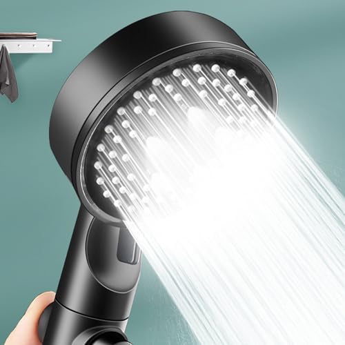 10-in-1 Filtered Handheld Shower Head