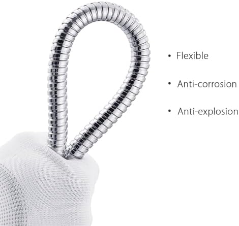 dDanke Brass Handheld Shower Head with Classic Silver Design