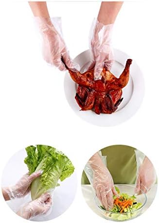 Lovenjoy Eco-Conscious 500PCS Clear Disposable Gloves Perfect for Daily Use