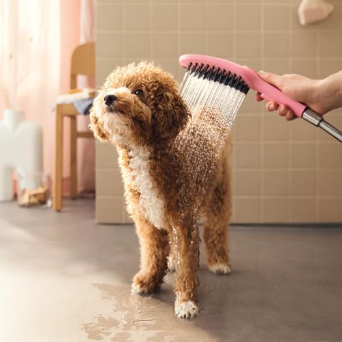 Hansgrohe DogShower