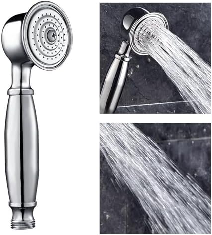 dDanke Brass Handheld Shower Head with Classic Silver Design