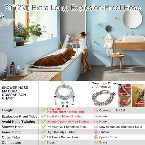 Luxau 10 Dual Filtered Shower Head