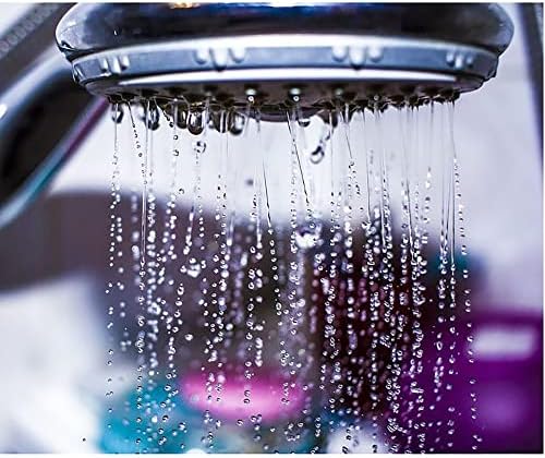 EVIDECO 5-Spray Multi-Function Handheld Chrome Shower Head