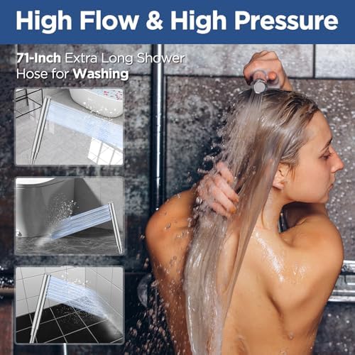 HOPOPRO 10 Inch All Metal Rain Shower Head Combo with Handheld